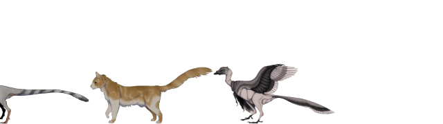 Rhamphorhynchus