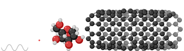 Carbon Nanotube
