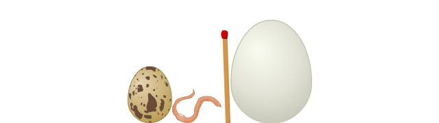 Chicken Egg