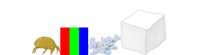 Sal-Grajno