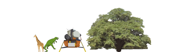 Oak Tree