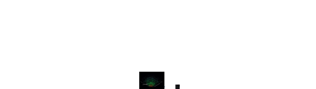 Observable Universe