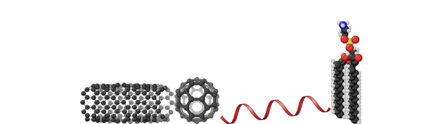 Phospholipid