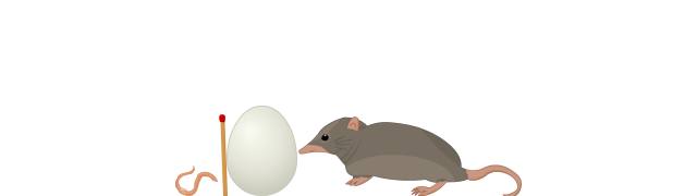 Shrew