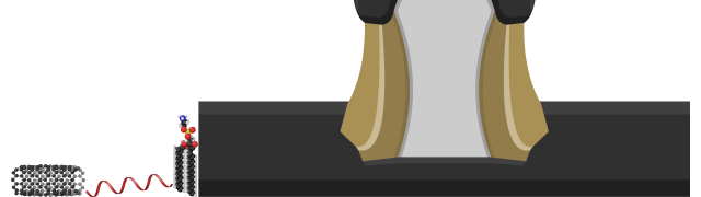 Transistor Gate
