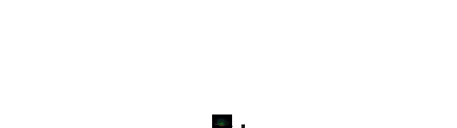 Estimated Size of the Universe